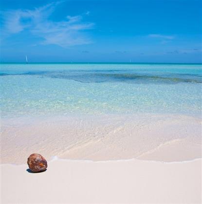 Marsa Alam Tours 